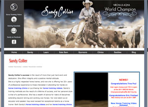 Sandy Collier Website