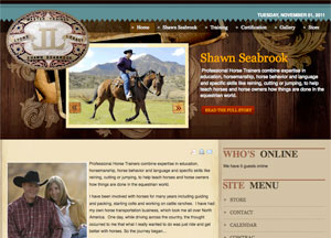 Shawn Seabrook Website